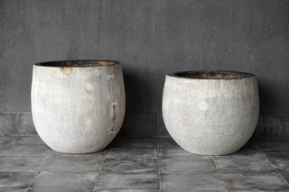 Palm Vase Weathered