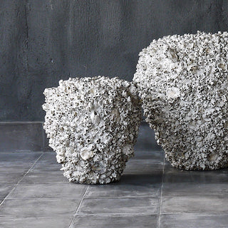 Barnacle Vase
