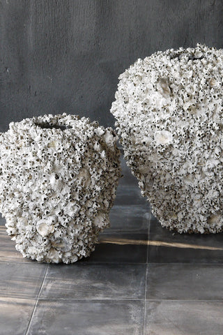 Barnacle Vase