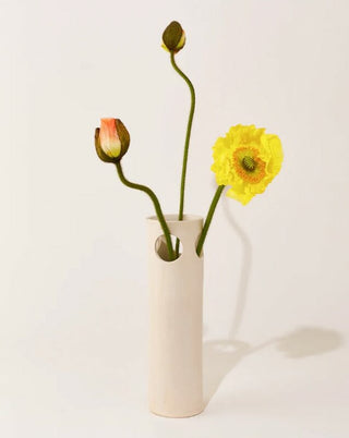Cenote Vase