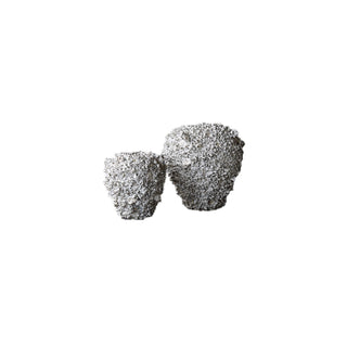 Barnacle Vase