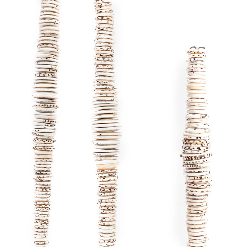 Coin Shells Designs Stacked Coin Shells on Stand – Place. A Design Atelier by Philpotts