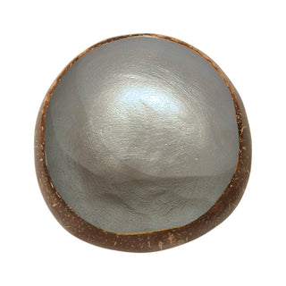 Coconut Bowl w/ Silver Lacquer