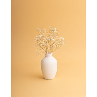 Curvy Vase in Matte White