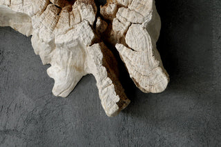 ASSORTED WEATHERED TEAK ROOT FORMS