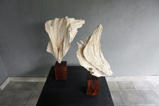 Erosion Root Decor With Stand