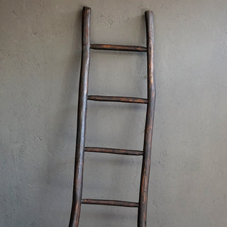 Teak Branch Towel Ladder - Chocolate